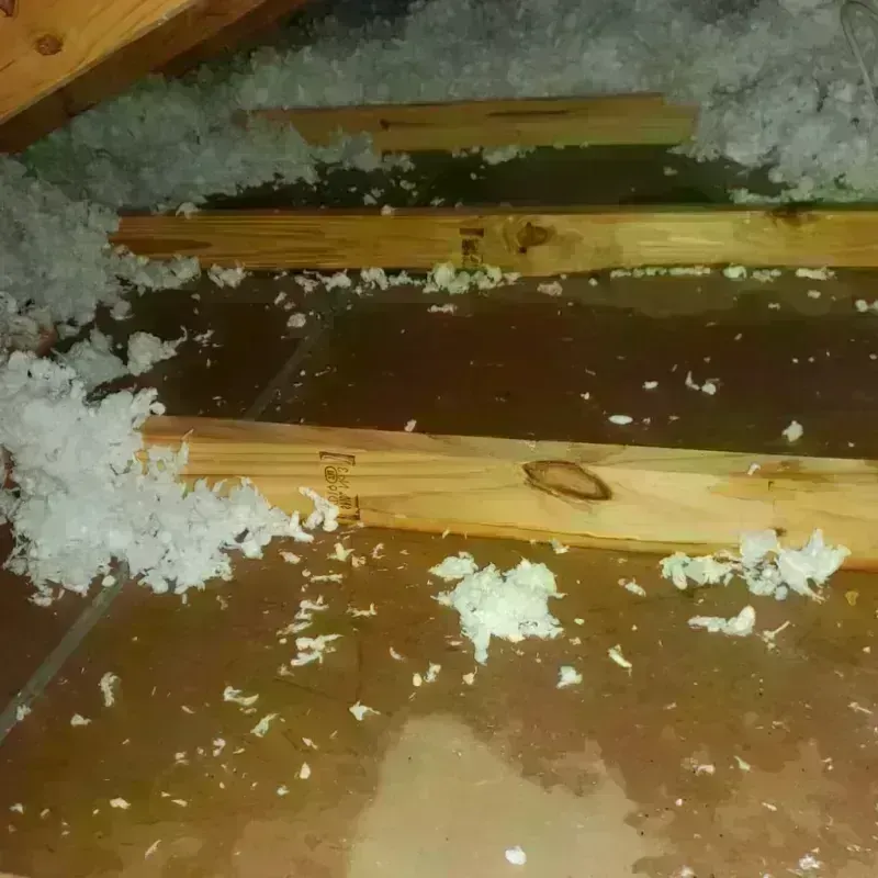 Attic Water Damage in Snoqualmie, WA