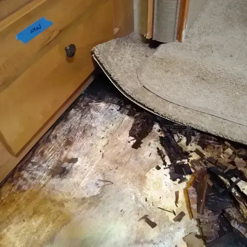 Best Wood Floor Water Damage Service in Snoqualmie, WA